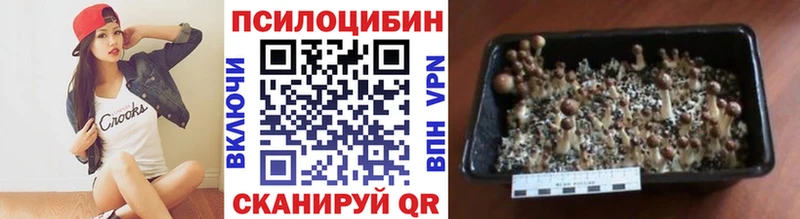 цена   блэк спрут ТОР  Галлюциногенные грибы Psilocybe  Вышний Волочёк 